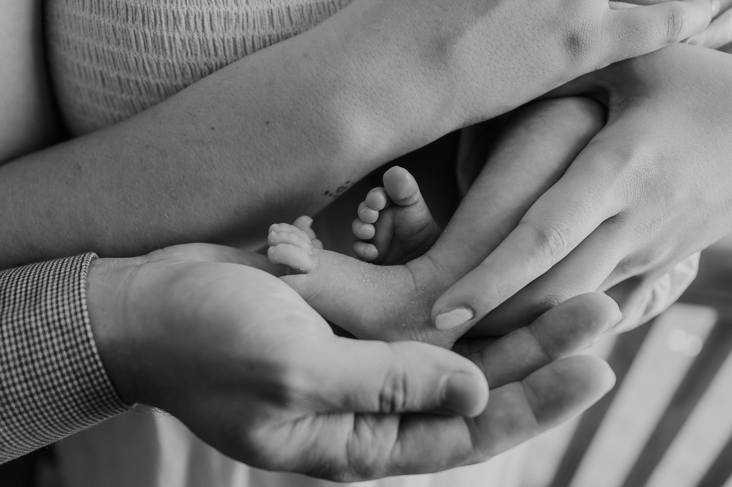 Black and white photo of adult hands cradling tiny newborn baby feet, symbolizing family love and new parenthood.