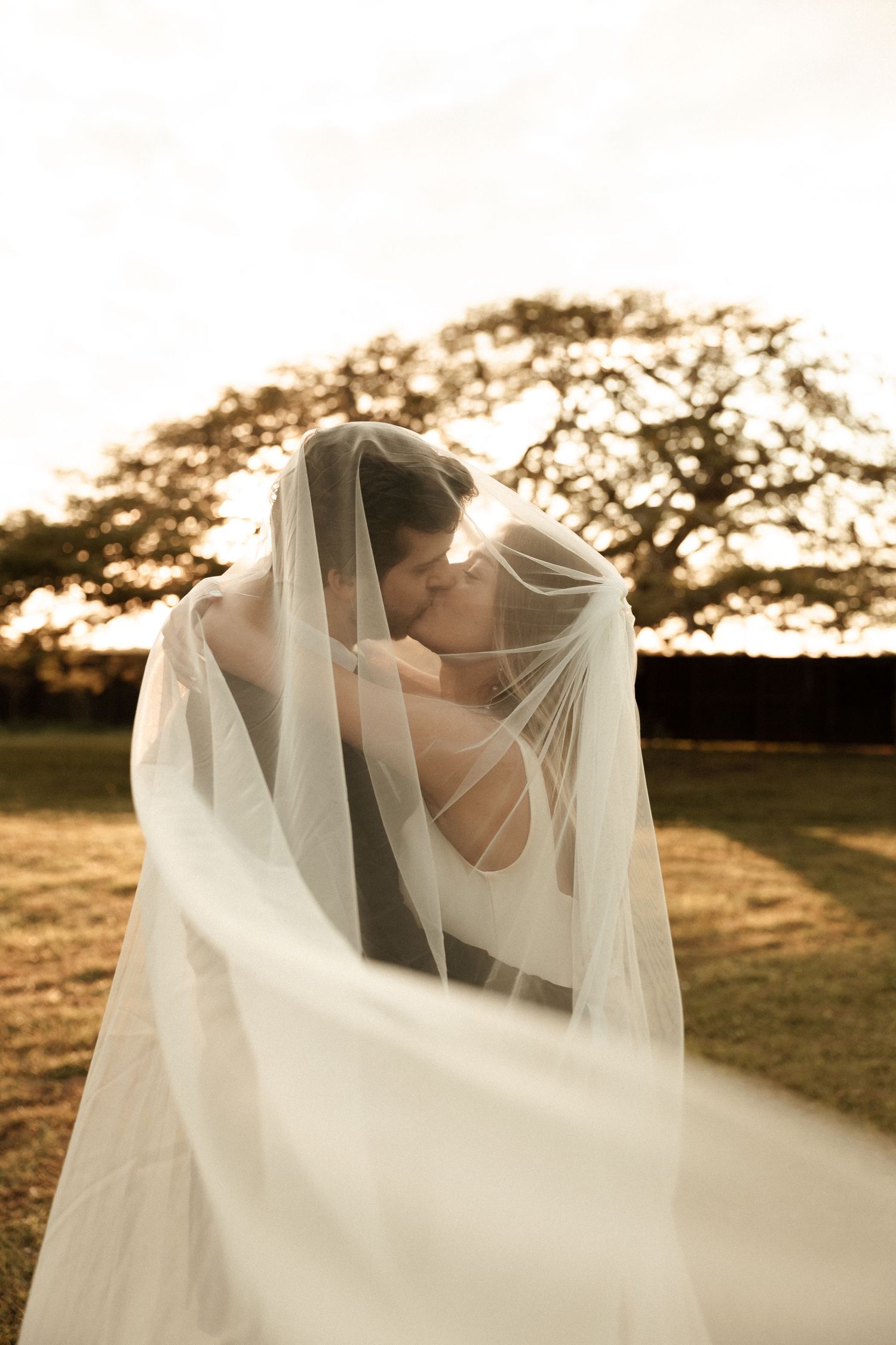 A romantic wedding moment captured at sunset with a flowing white veil creating an ethereal silhouette against a tree backdrop.
