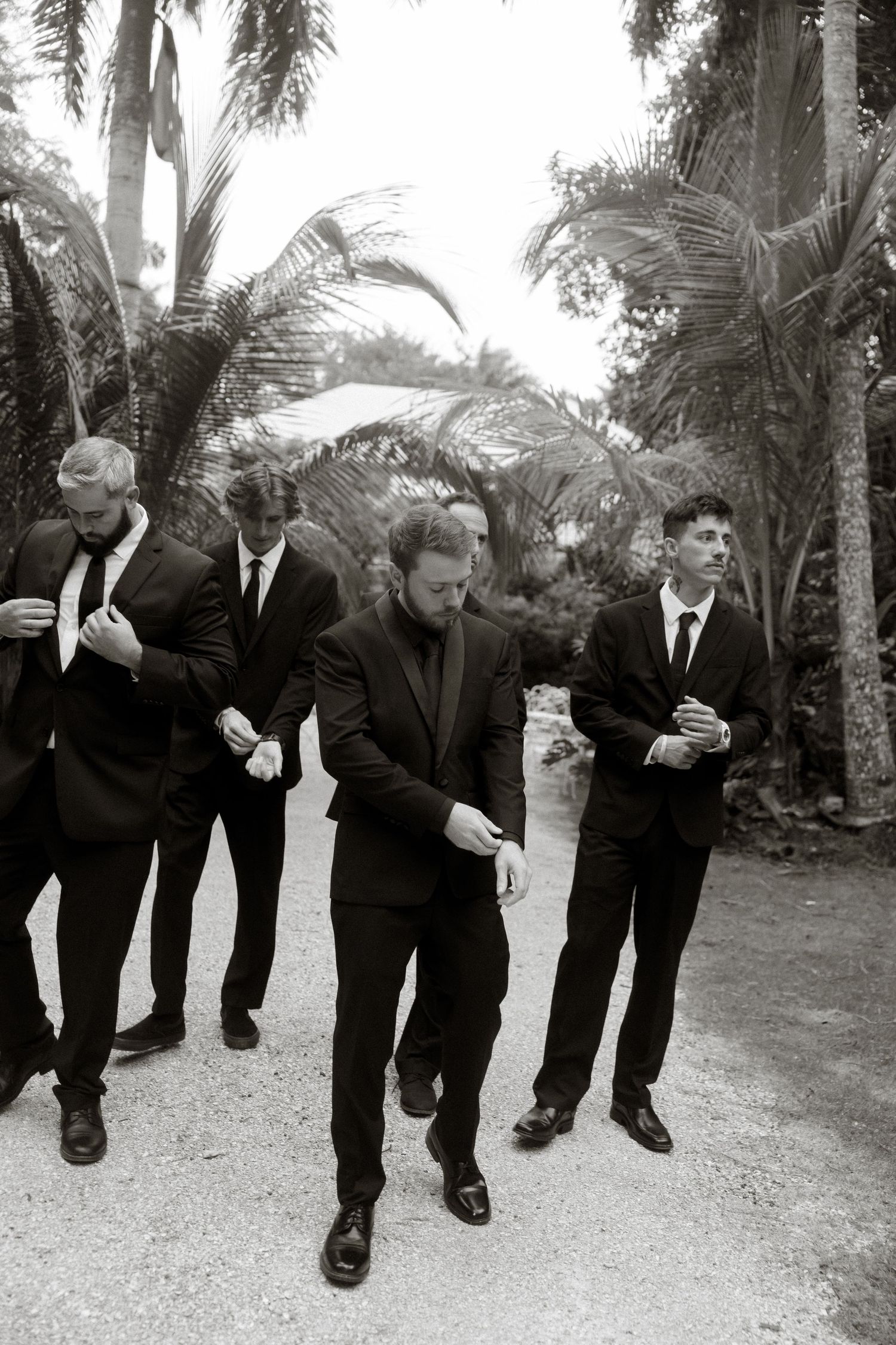 Groomsmen in dark suits walking along a palm-lined path in black and white photography.