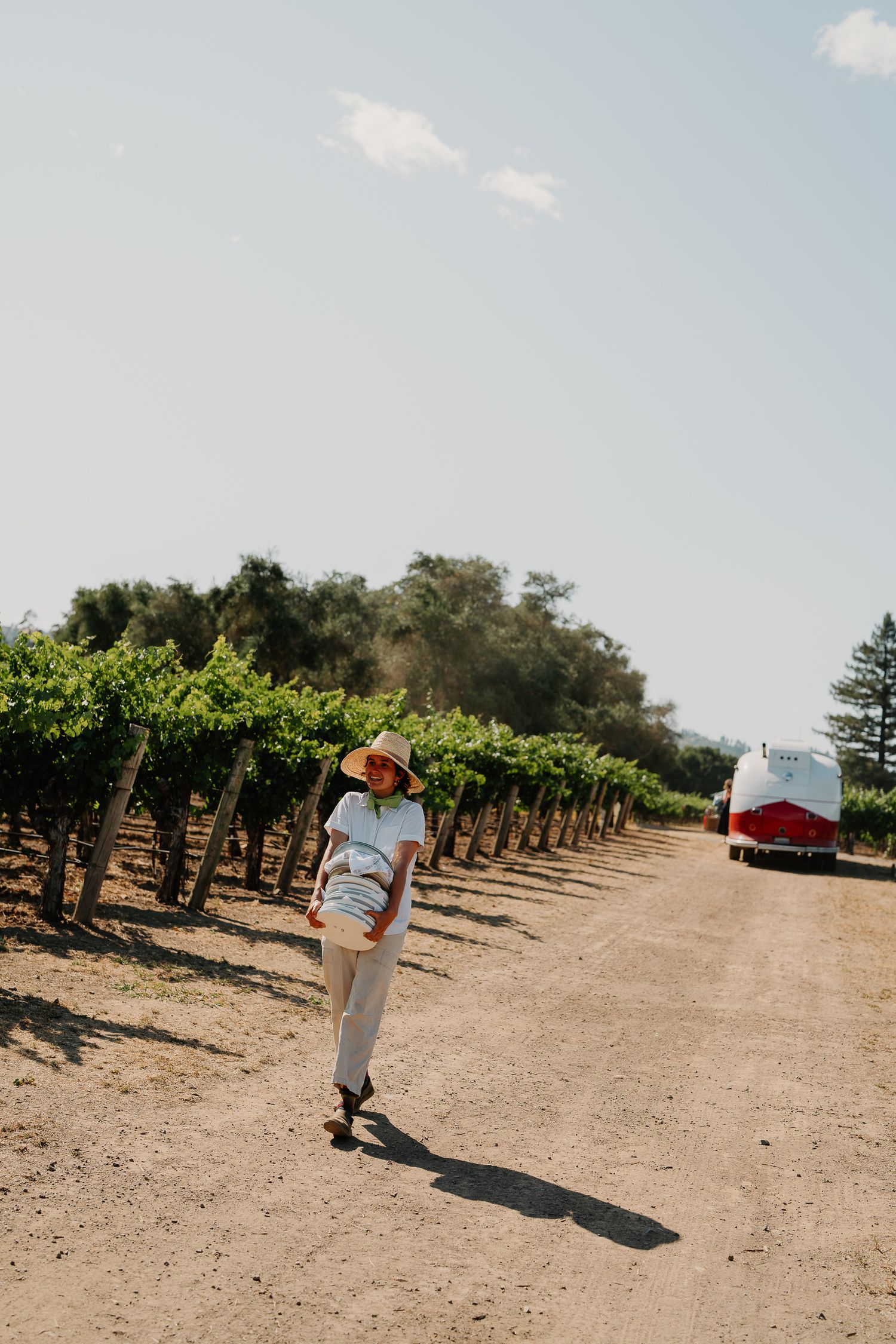 A figure walks down a dirt path between rows of grape vines at a winery on a sunny day.