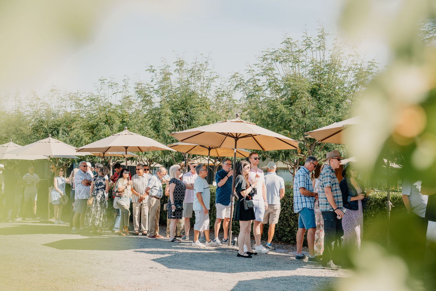 Guests gather under tan patio umbrellas at an outdoor winery event on a sunny day.