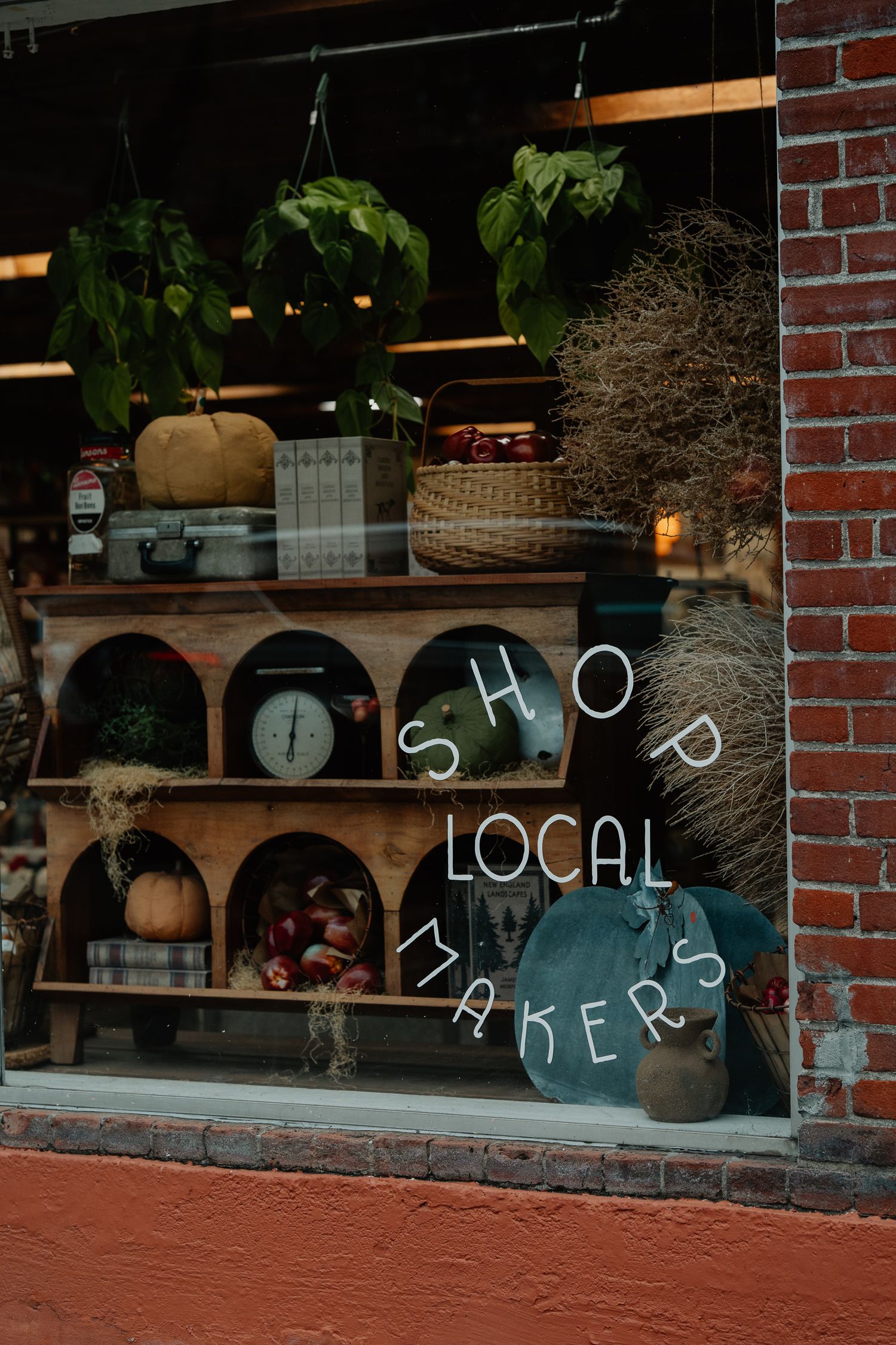 A shop window display with wooden shelves holding plants and decor, with 'LOCAL SHOP' text written on the glass.