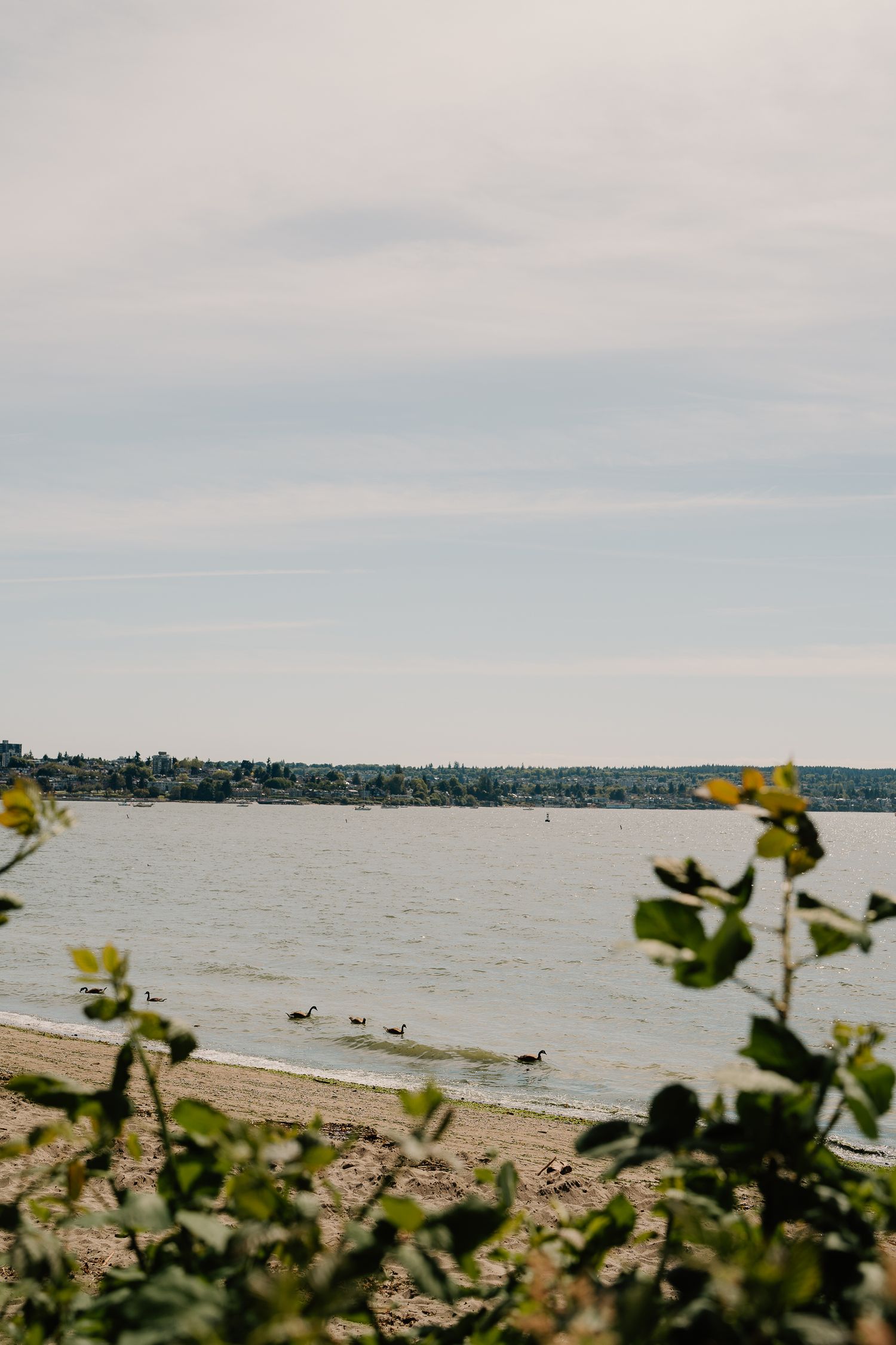 A panoramic coastal view shows a sandy beach with boats on the water and green foliage in the foreground against a cloudy sky.