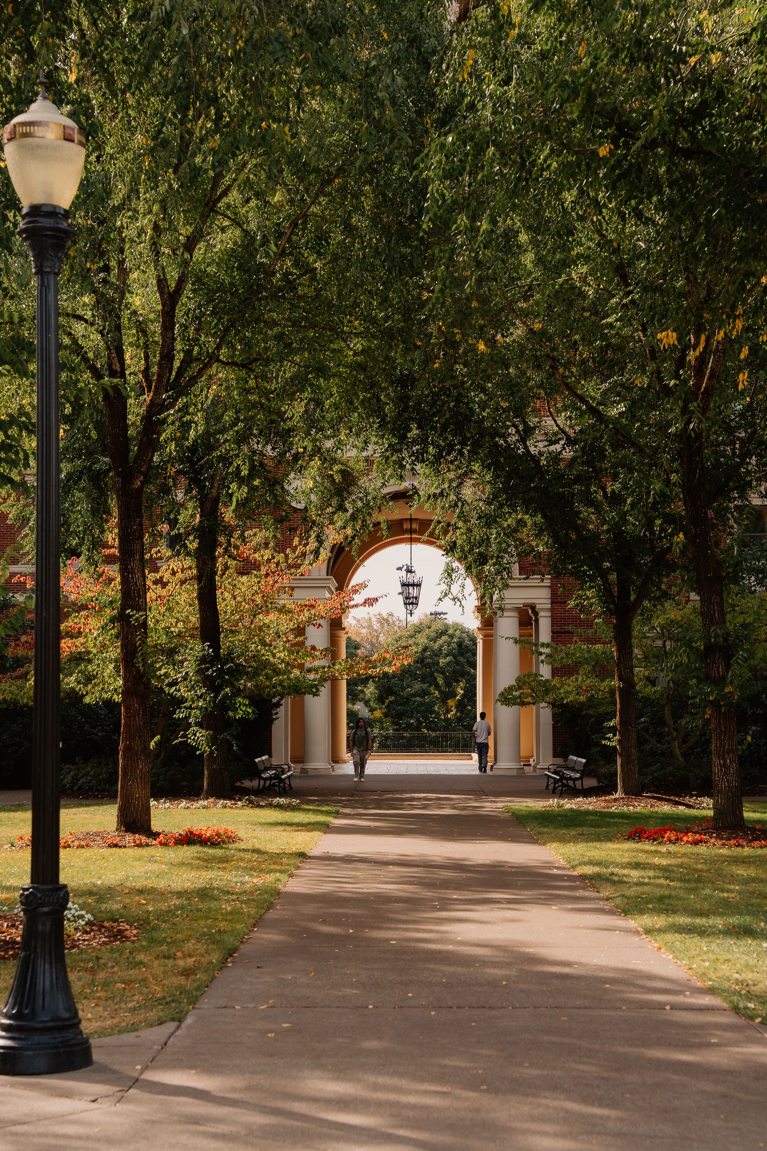 A tree-lined pathway leads to an elegant archway on a college campus with vintage-style lampposts in the afternoon light.