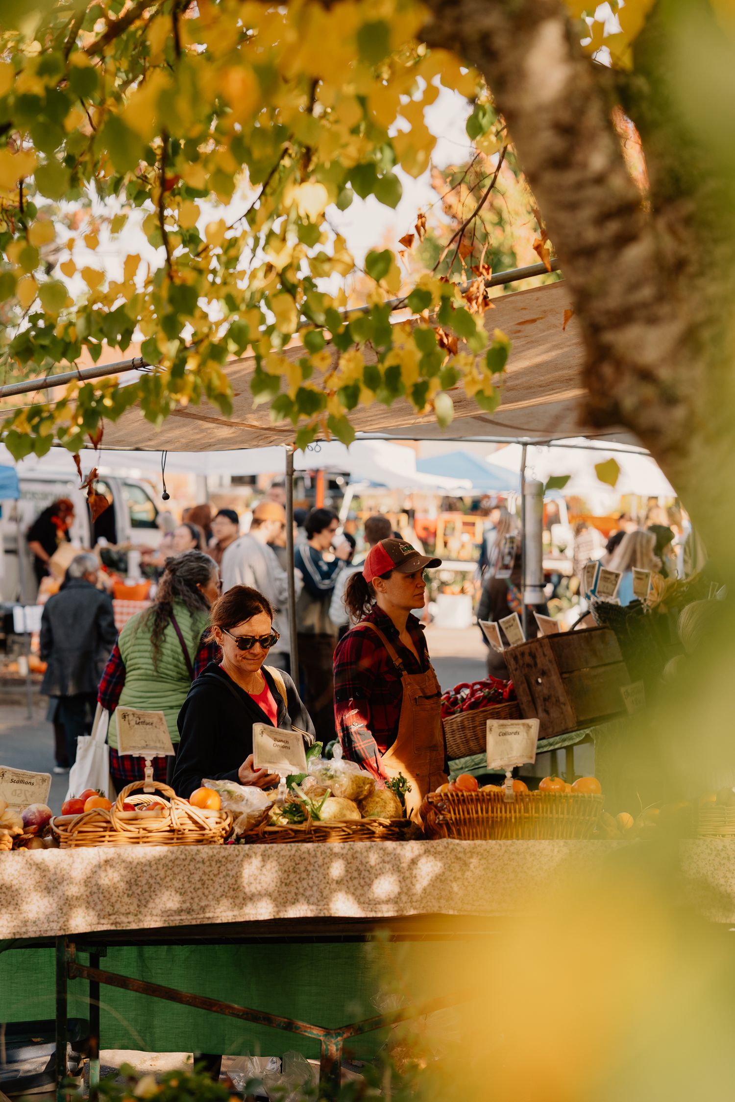 Autumn farmers market stall selling artisanal breads and baked goods under golden tree leaves.
