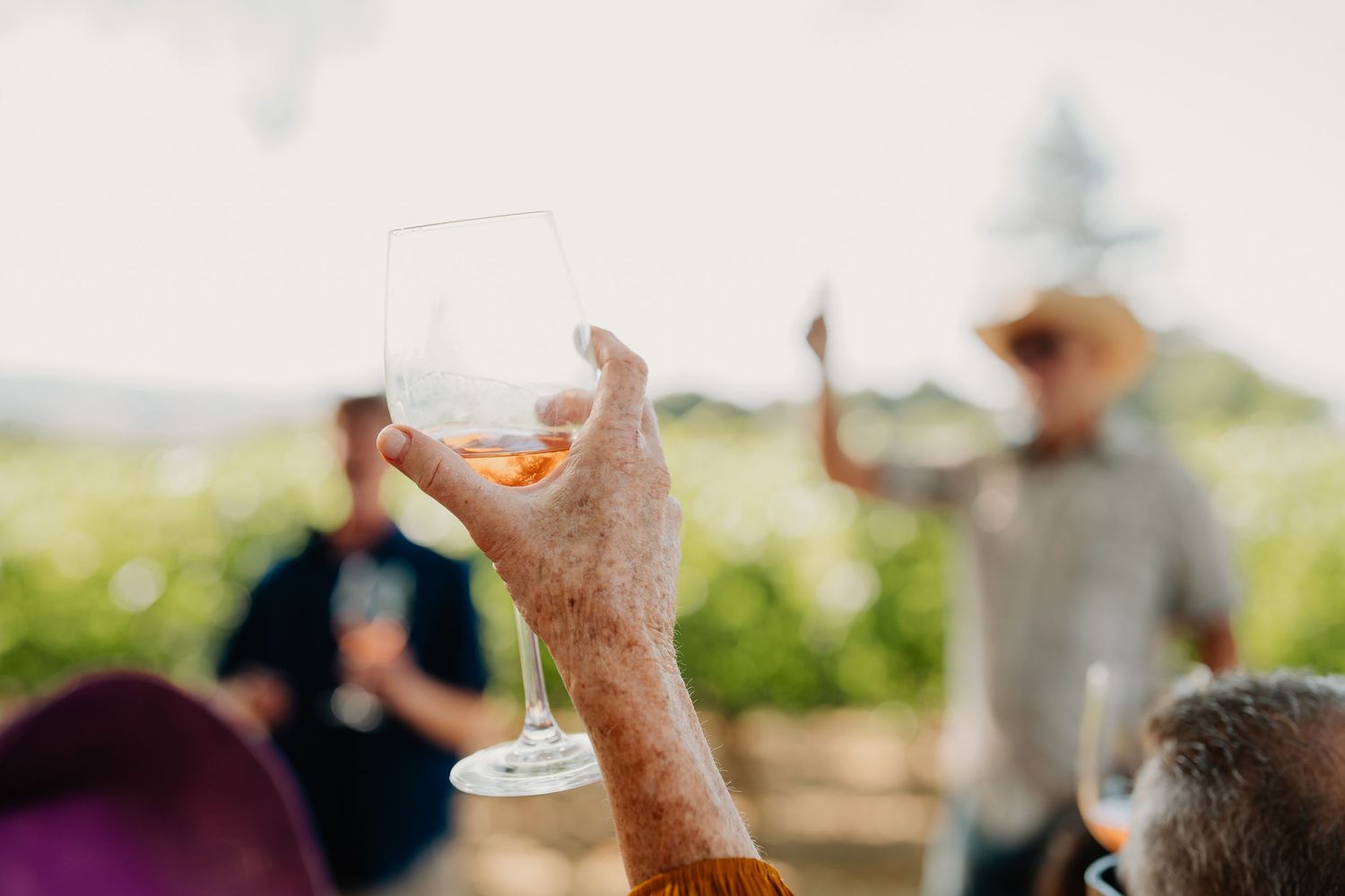 Hand holds up a stemmed cocktail glass during an outdoor gathering against a blurred natural background.