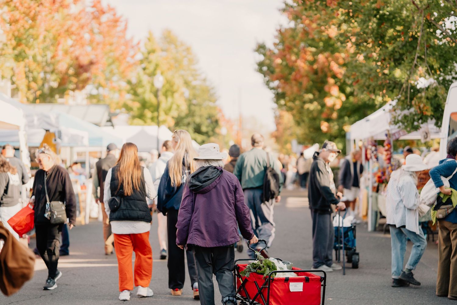 Shoppers browse outdoor market stalls on autumn day with colorful fall foliage in background.