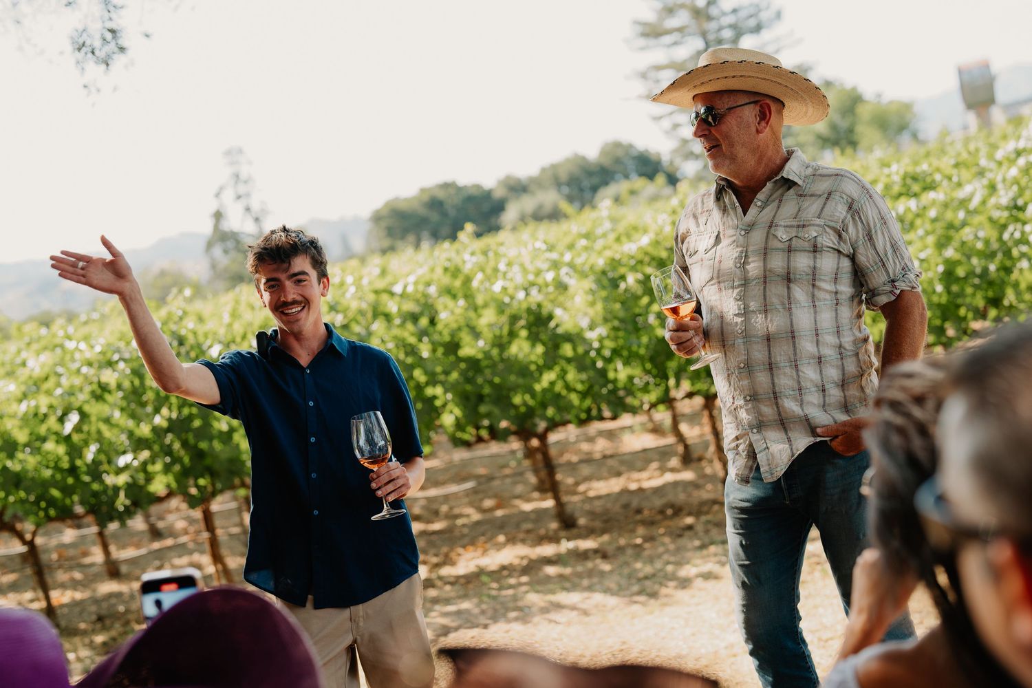 Wine tasting activity taking place among scenic vineyard rows on a sunny afternoon.