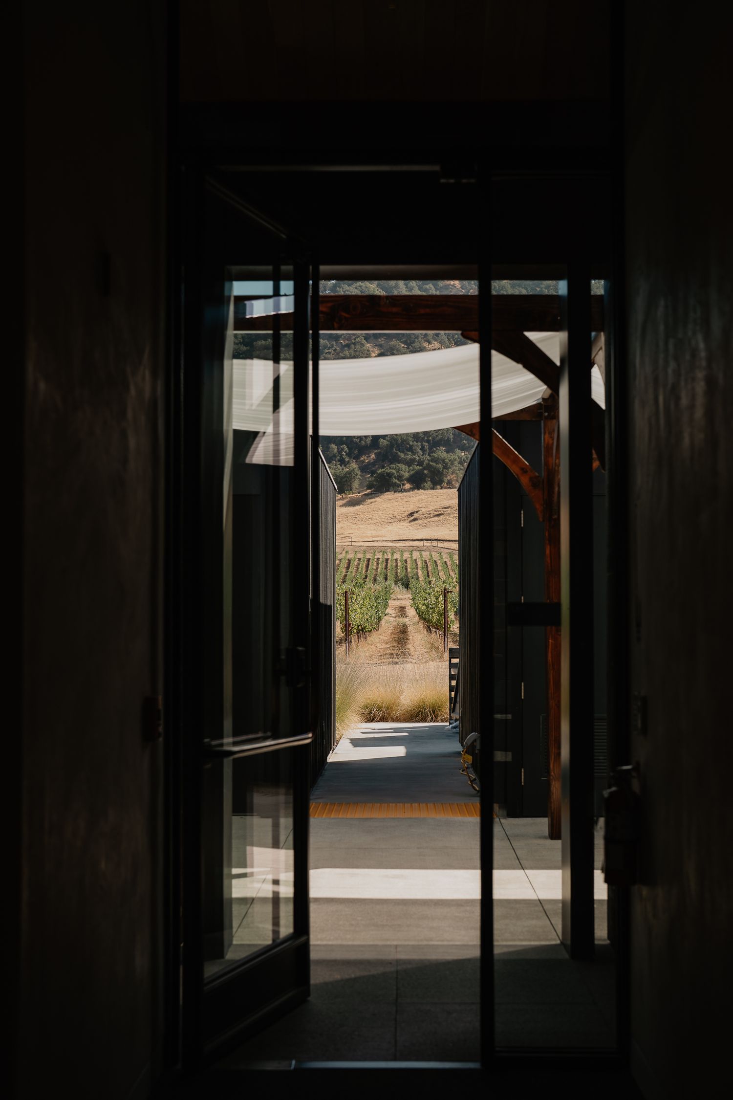 Dark interior doorway framing a bright outdoor view of a vineyard and rolling hills beyond.