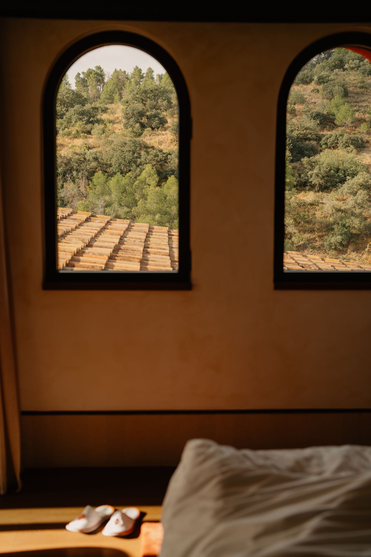 Arched windows in a row frame a scenic vineyard view with sunlight streaming into a peaceful room.