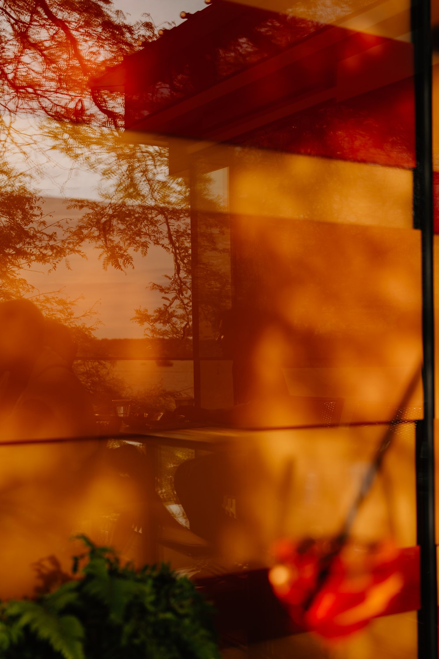 Orange sunset sky with silhouetted trees creates a dramatic atmospheric scene through window panes.