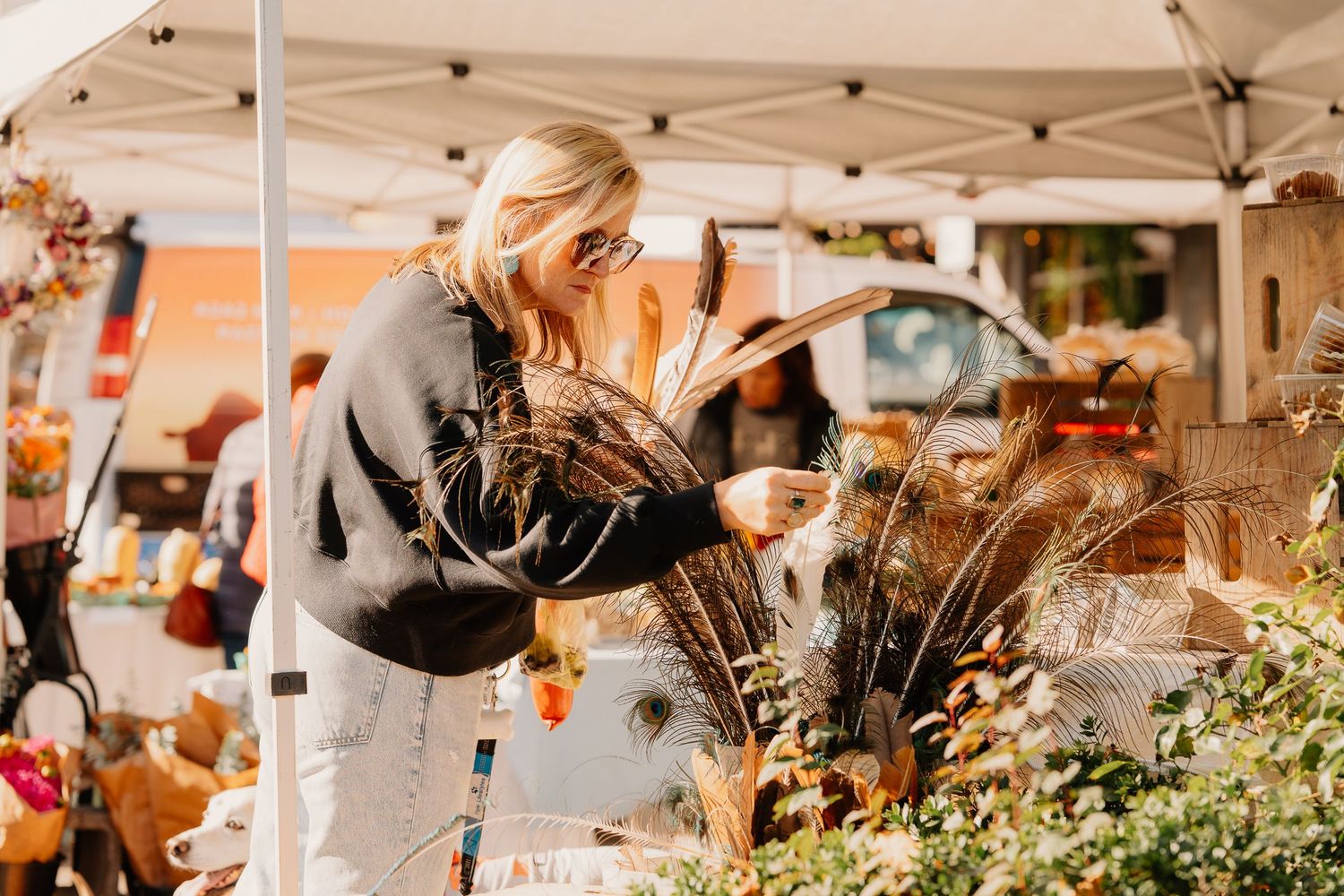 A customer browses dried flowers and seasonal plants at an outdoor farmers market vendor stall in warm sunlight.