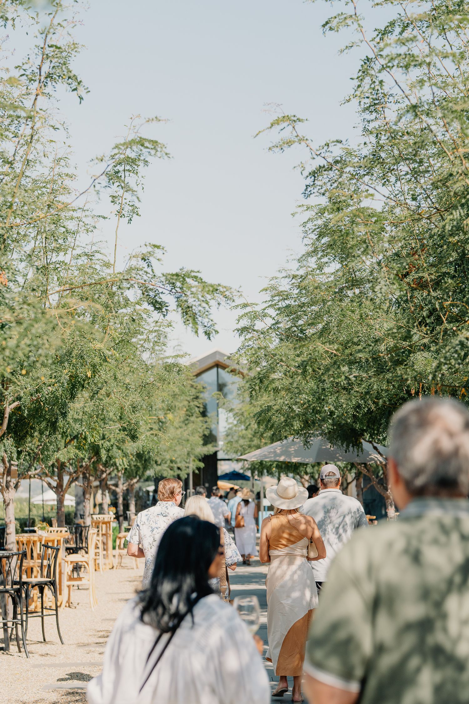 Guests walk along a tree-lined path at an outdoor Silver Oak winery event on a sunny day.