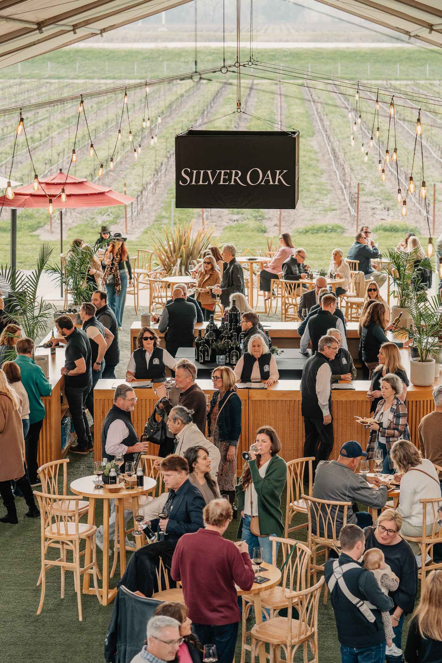 Guests enjoy wine tasting under string lights at a Silver Oak Winery event in a elegant tent pavilion.