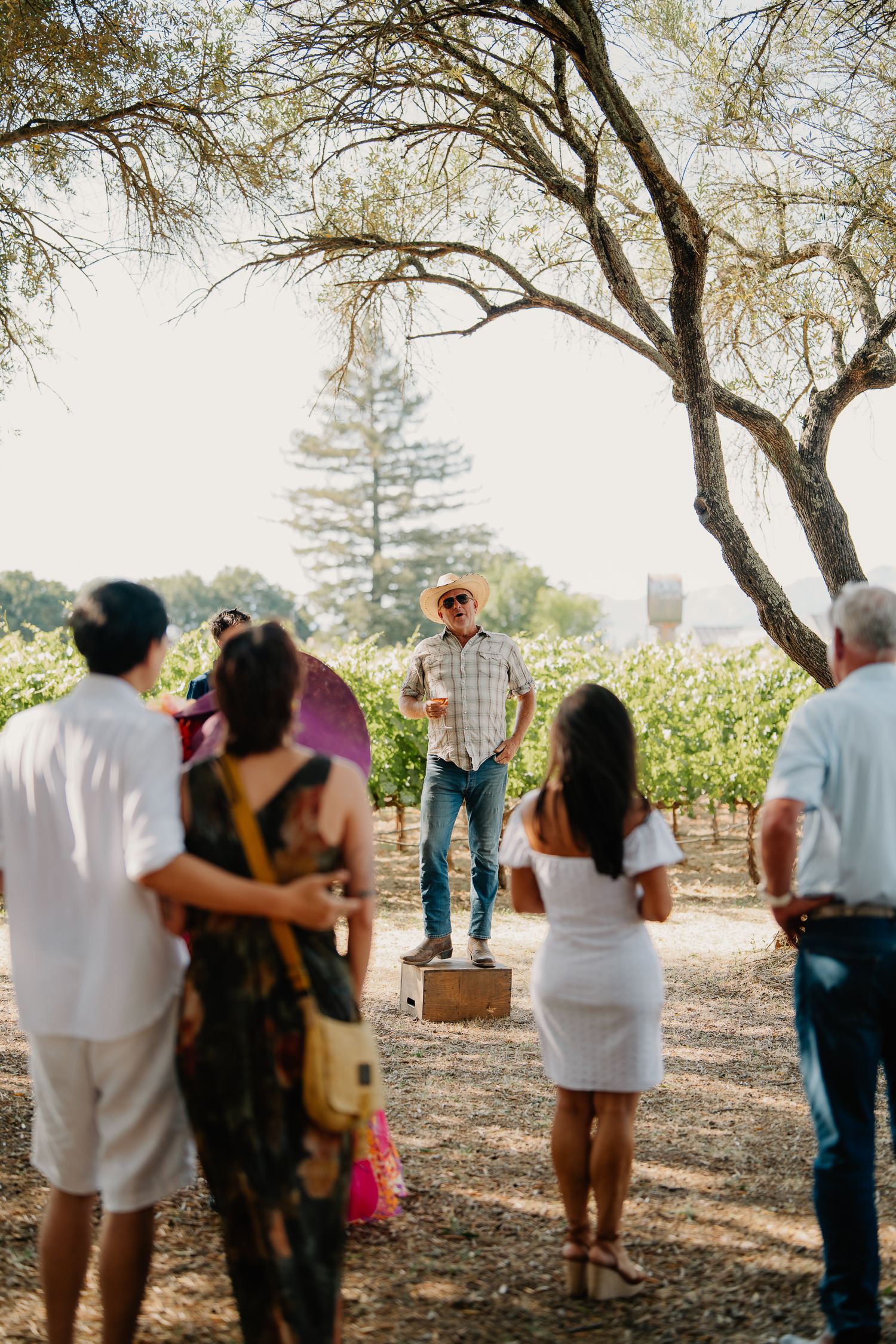 A group gathers around a person standing on a box giving a presentation in a vineyard on a sunny afternoon.