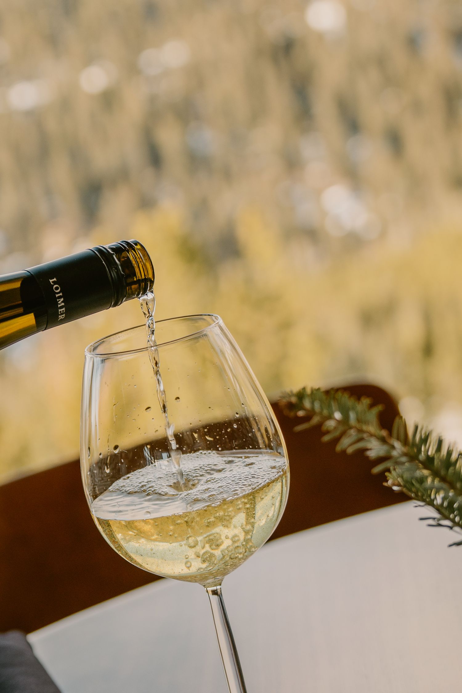 White wine being poured into an elegant glass with evergreen sprigs on a wooden surface.
