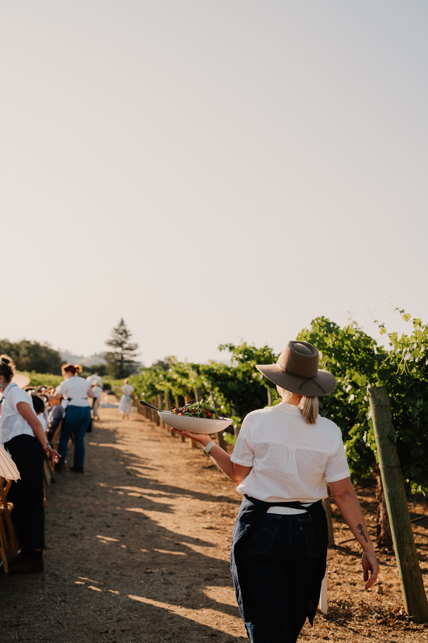 Wedding guests walking through a sun-drenched vineyard with rows of lush grapevines.