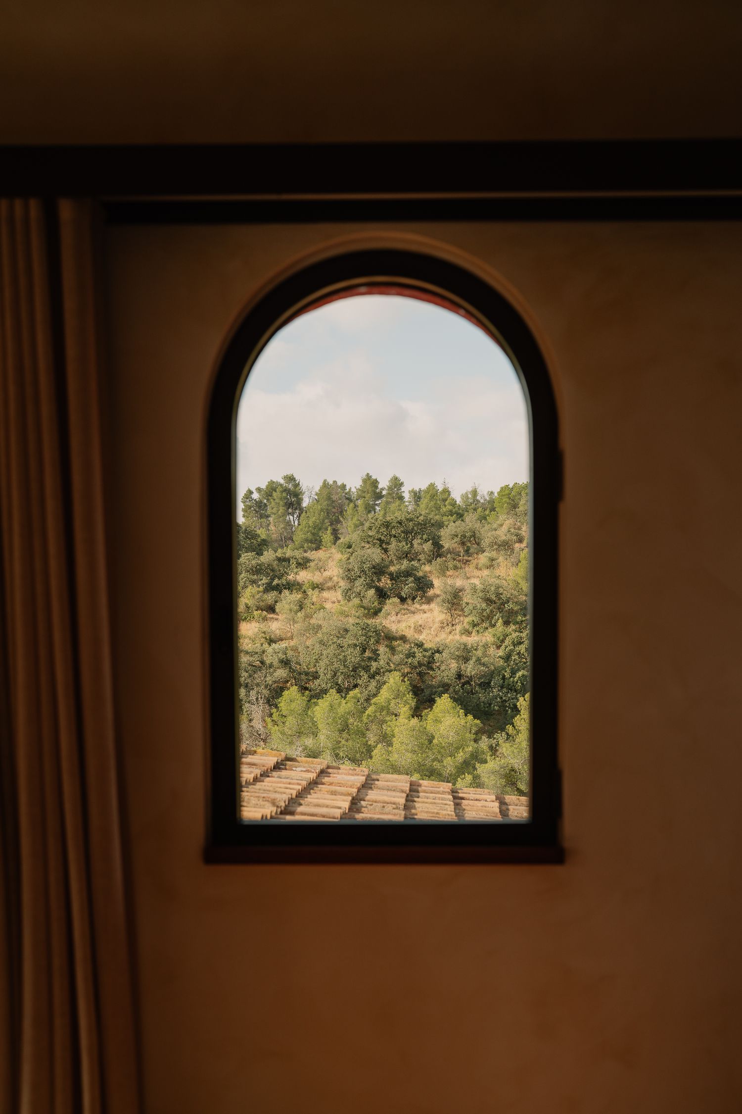 Arched window frames showcase a scenic hillside vineyard and olive grove landscape under warm lighting.