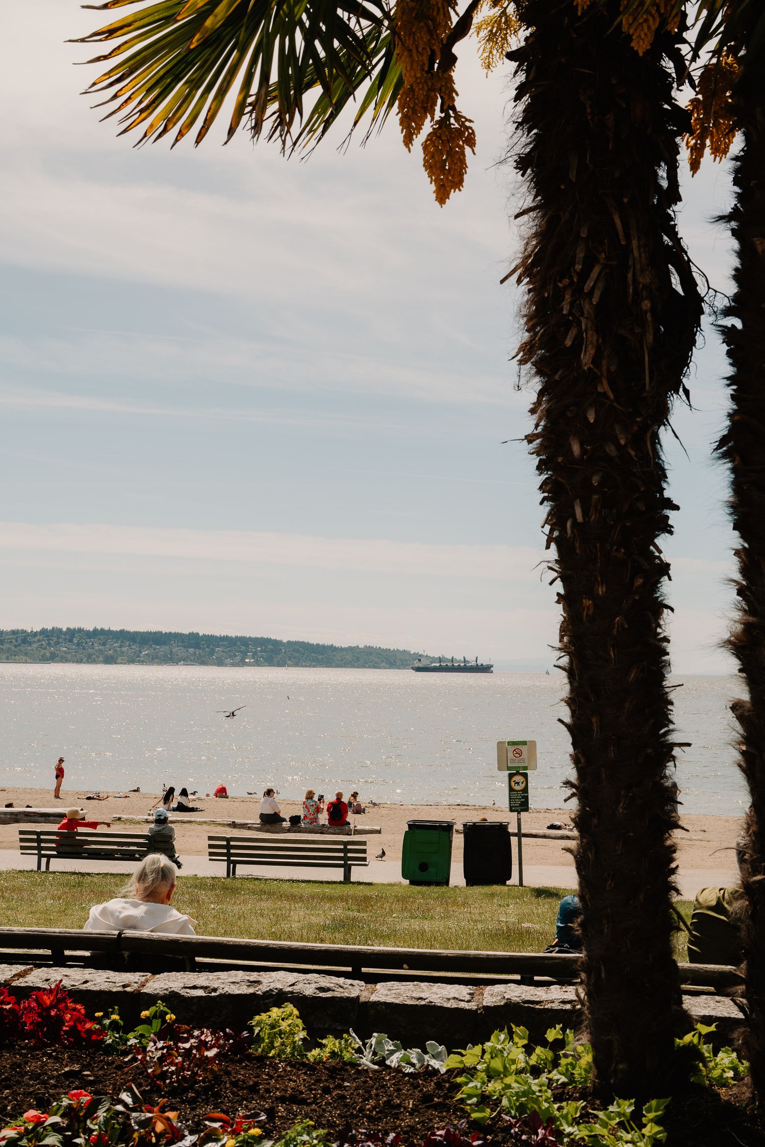 Beach visitors relax on benches along Alki Beach in Seattle with palm trees and blooming flowers in the foreground.