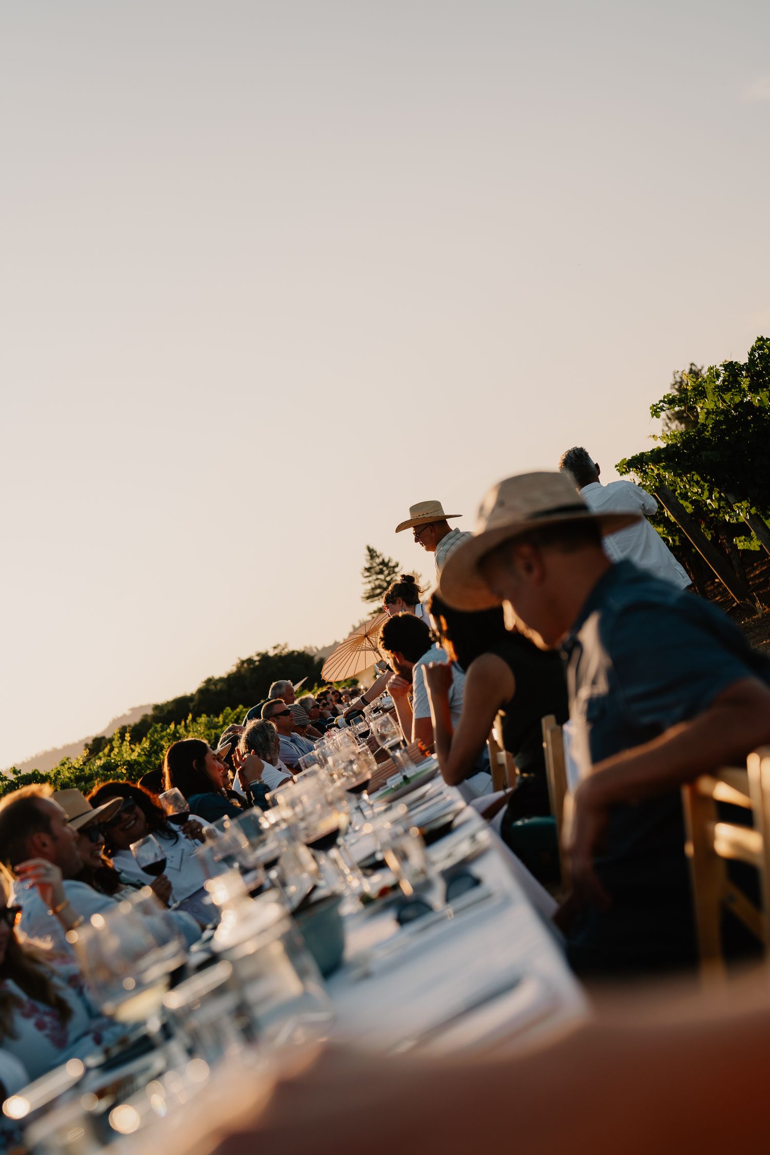 Elegant outdoor dinner table setting with wine glasses in golden evening light.