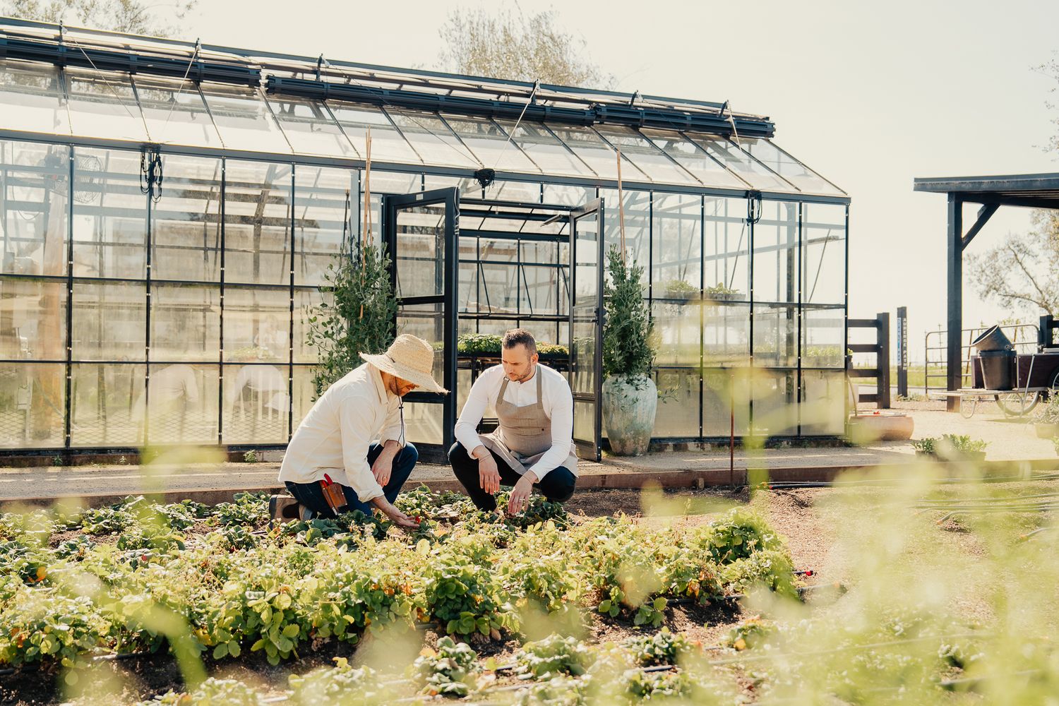Two gardeners tending to plants in raised beds outside a glass greenhouse on a farm.