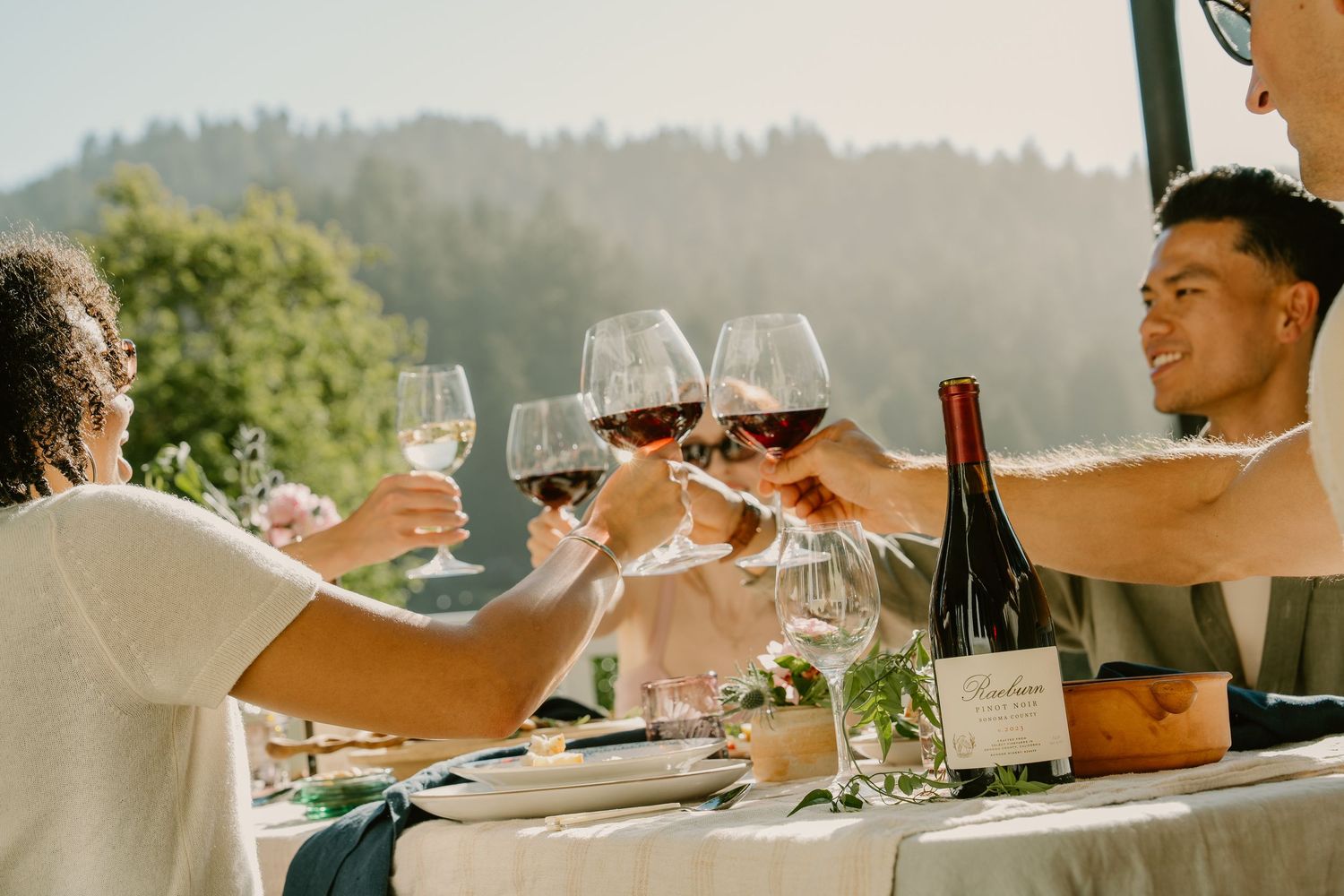 Group of friends toasting with red wine glasses at an outdoor vineyard dining table surrounded by lush green hills.