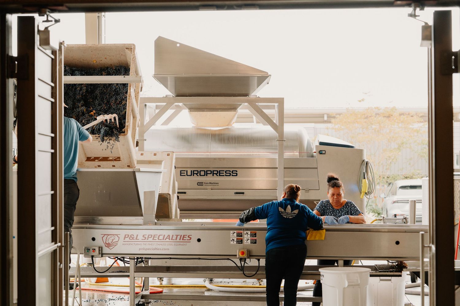 Workers operating a Europress machine in a winery facility during grape harvest processing.