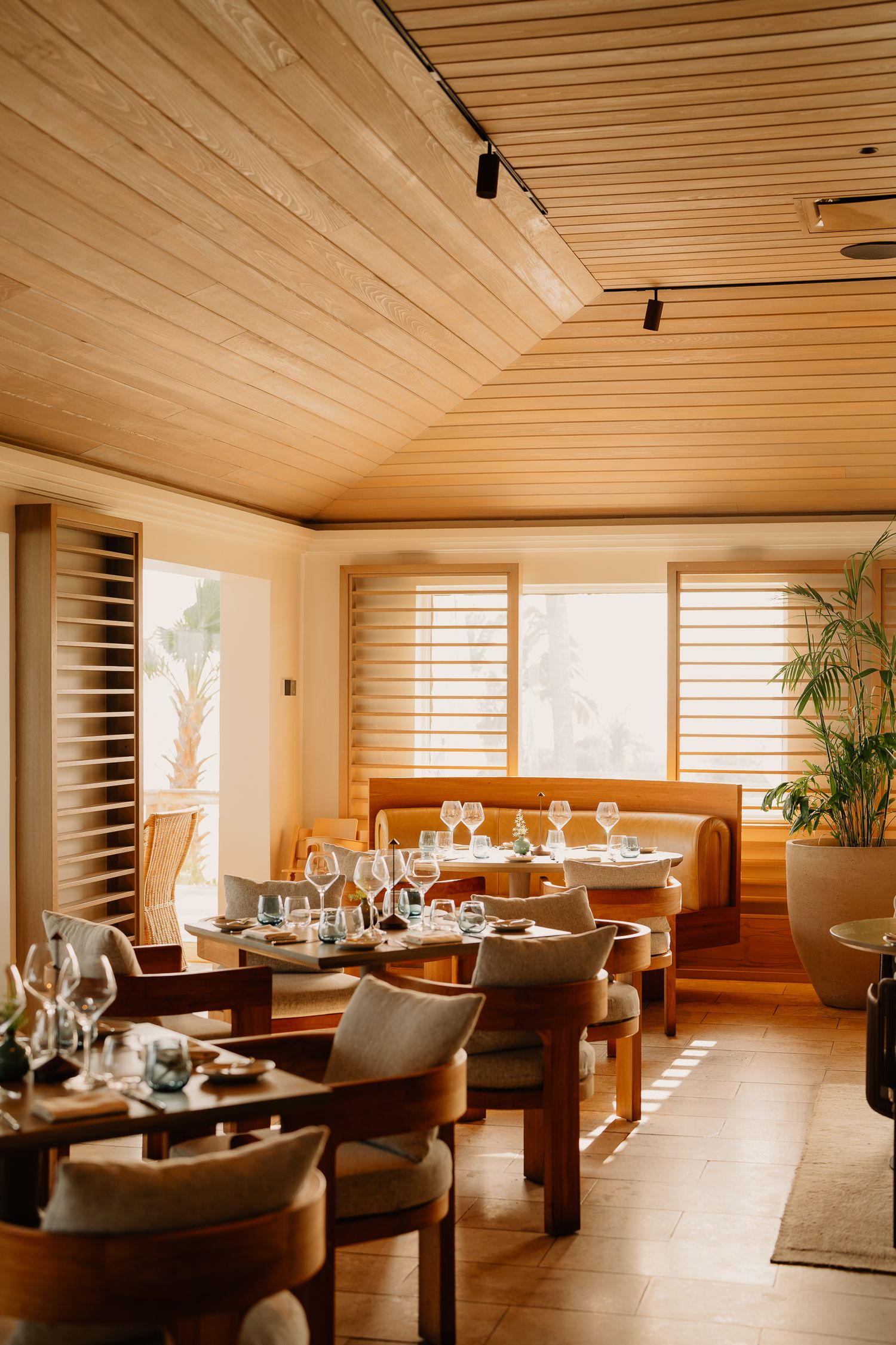 Modern minimalist restaurant interior with wooden ceiling, warm lighting, and comfortable booth seating along windows.