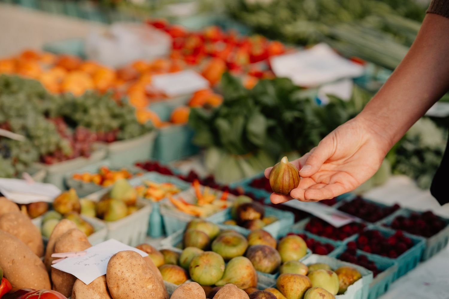 Hand reaching for fresh produce at farmers market display with colorful fruits and vegetables.