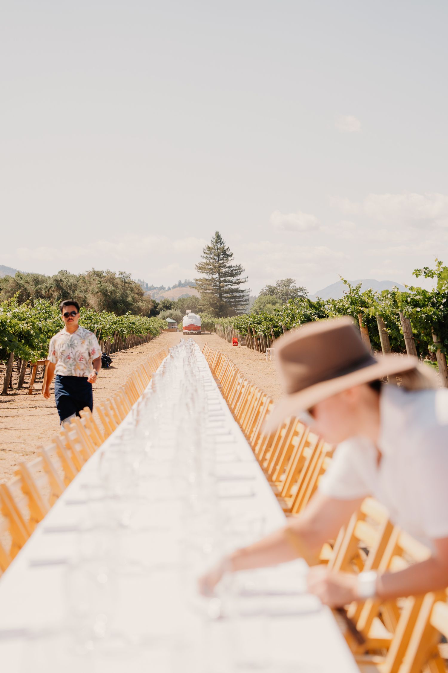 Rows of white wooden folding chairs arranged outdoors for an elegant wedding ceremony under a sunny sky.