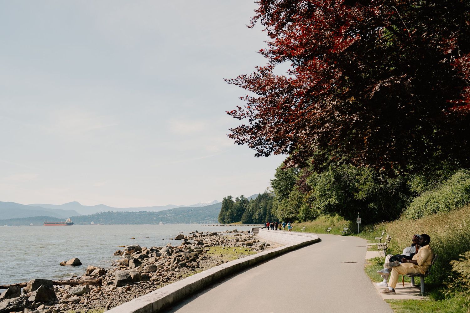 A scenic waterfront path along a rocky shoreline with mountains in the distance and red-leaved trees overhead.