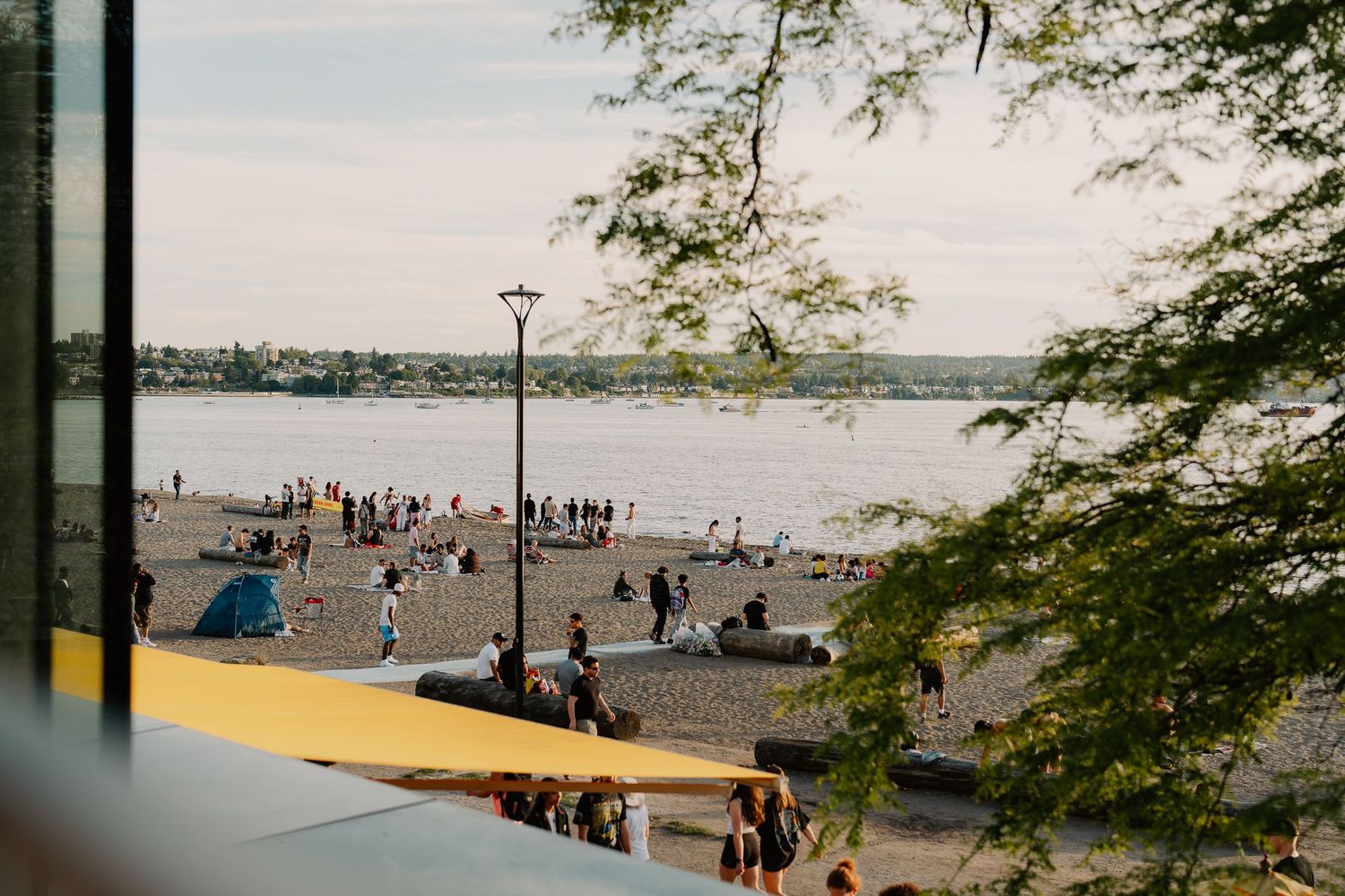 People gather at a waterfront boardwalk on a cloudy day with trees and railing visible in the foreground.