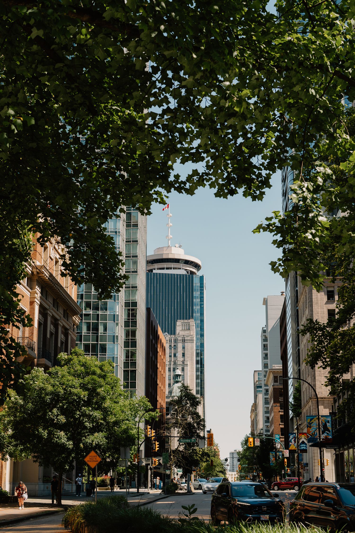 Modern downtown street view with tall office buildings framed by green trees in an urban setting on a sunny day.