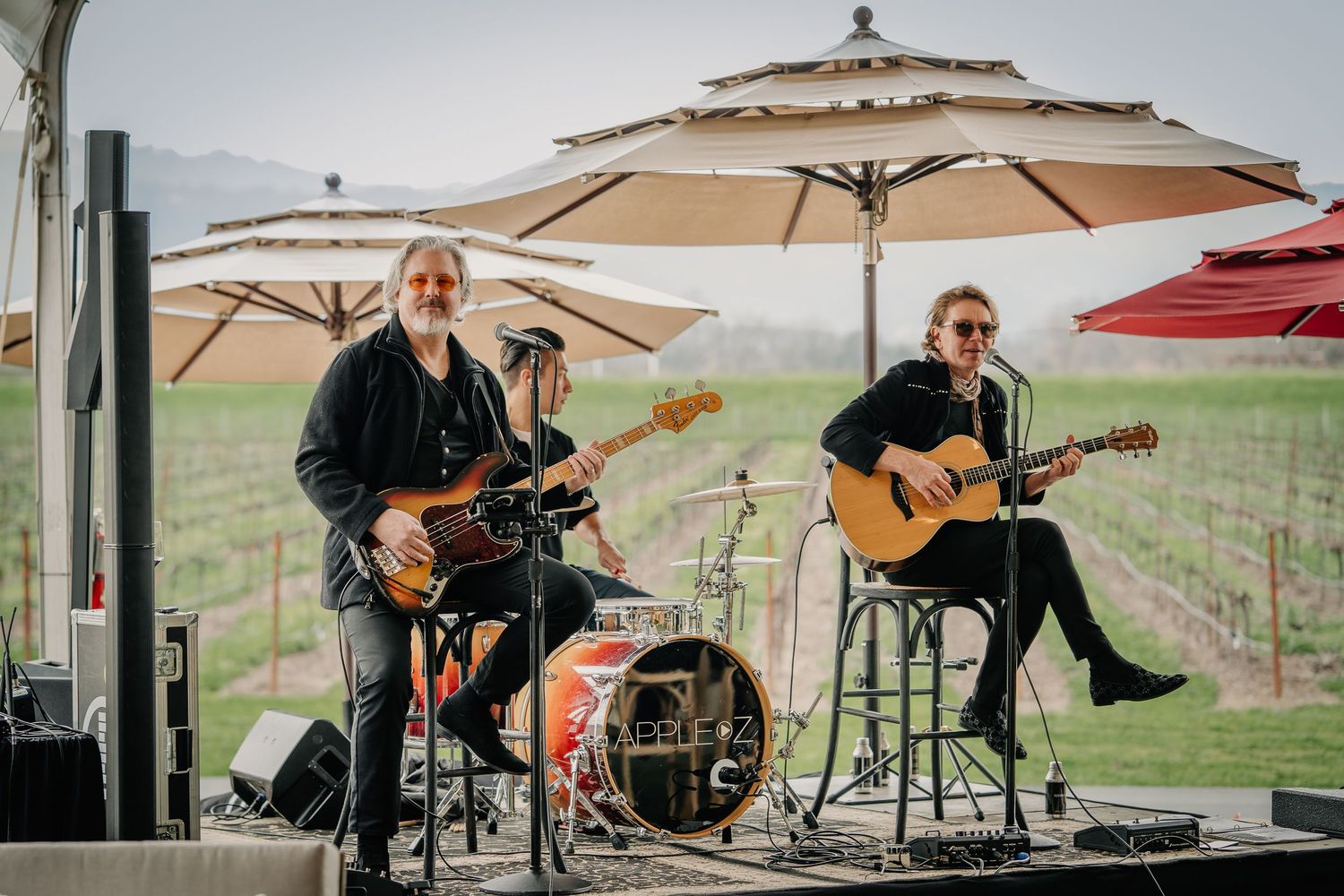 Live band performs on outdoor stage surrounded by vineyard rows and patio umbrellas at Silver Oak.