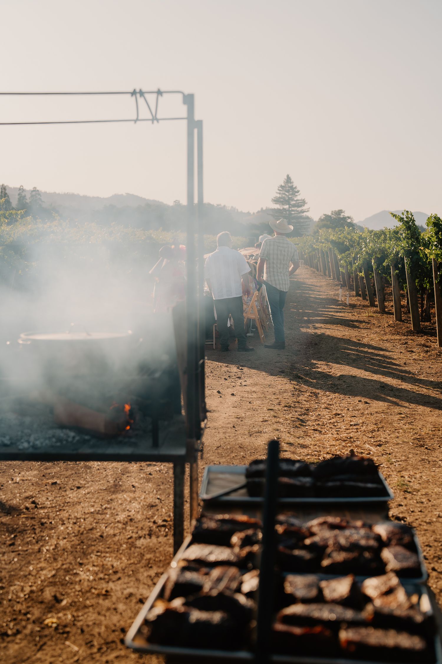 Smoke rises from outdoor grills in a vineyard landscape during sunset.