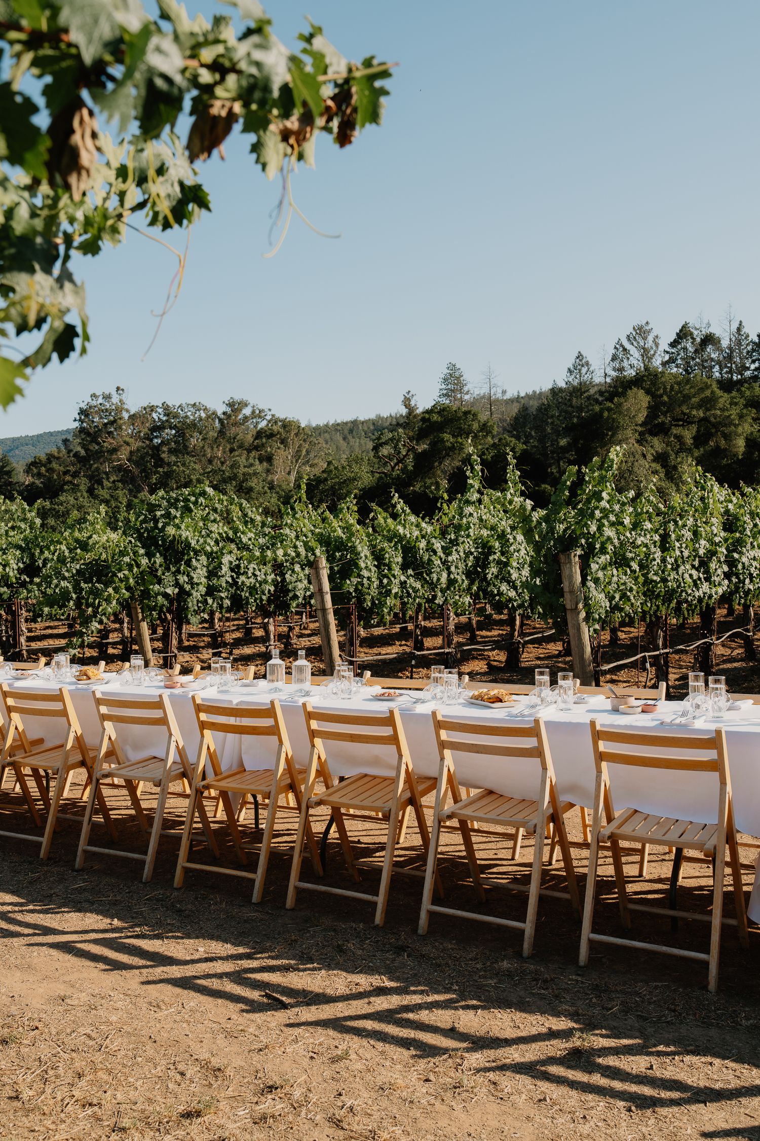 A long white dining table with wooden chairs set up outdoors in a vineyard on a sunny day.