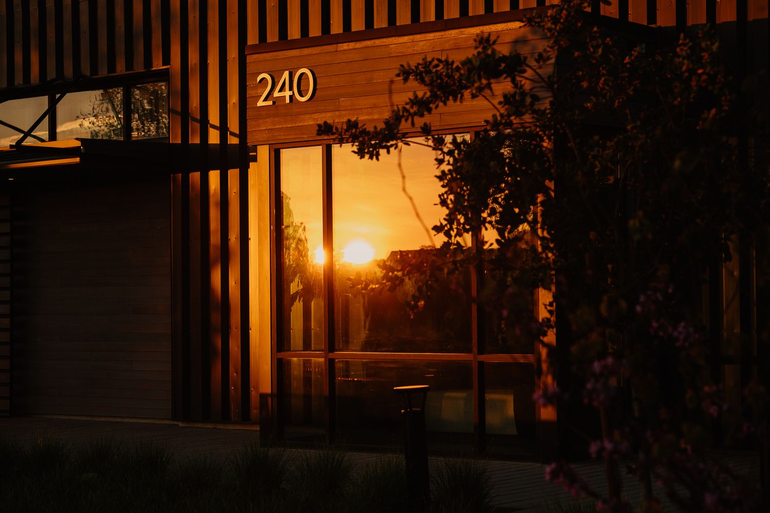 Sunset reflecting golden light through glass windows of modern building 240 at dusk.