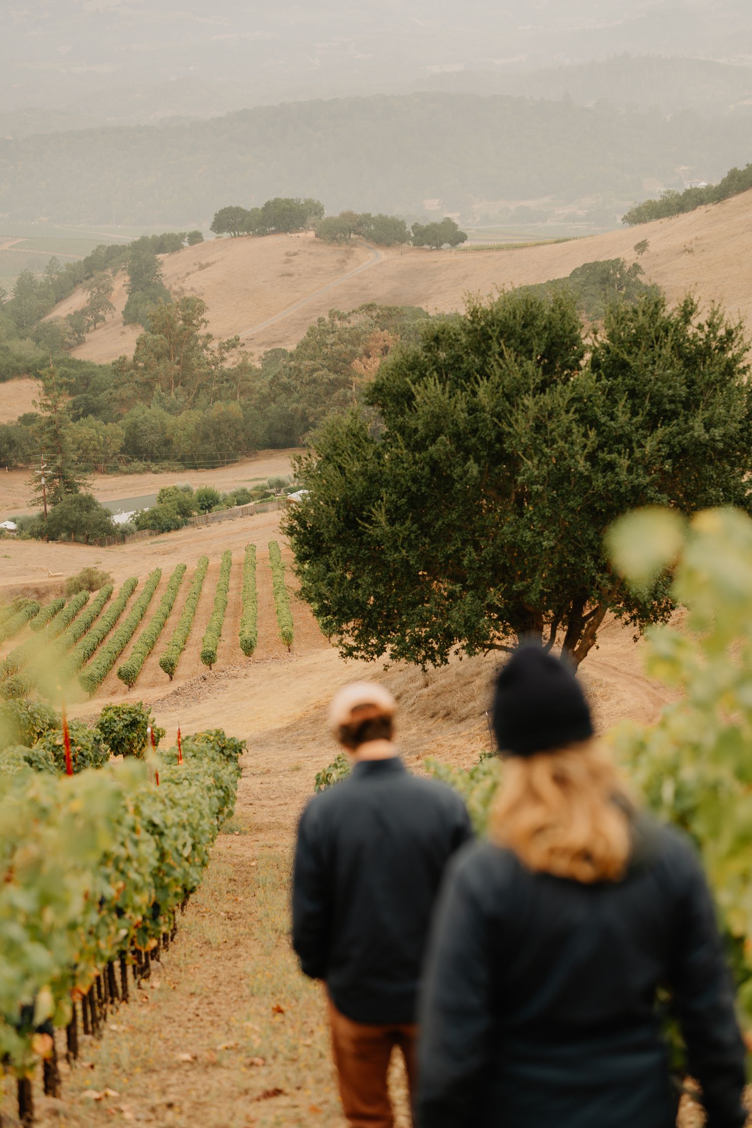 Two people admire scenic rolling hills with rows of grapevines at a California vineyard on a misty afternoon.