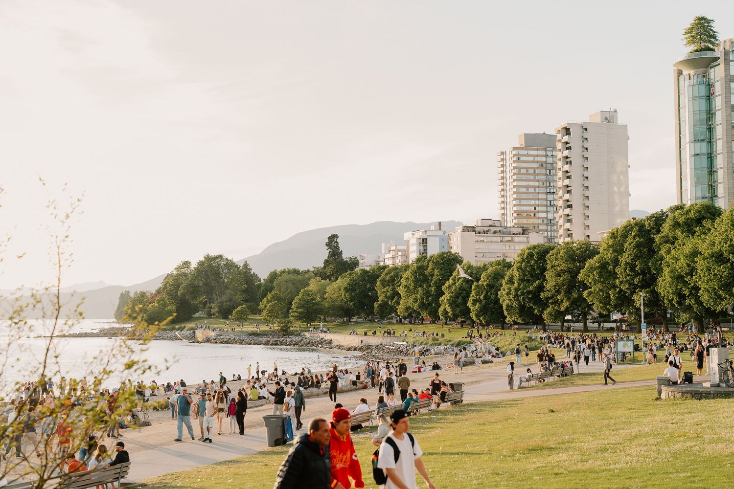 A crowd of people enjoying the waterfront area and grass fields on Stanley Park's coastal path in Vancouver.