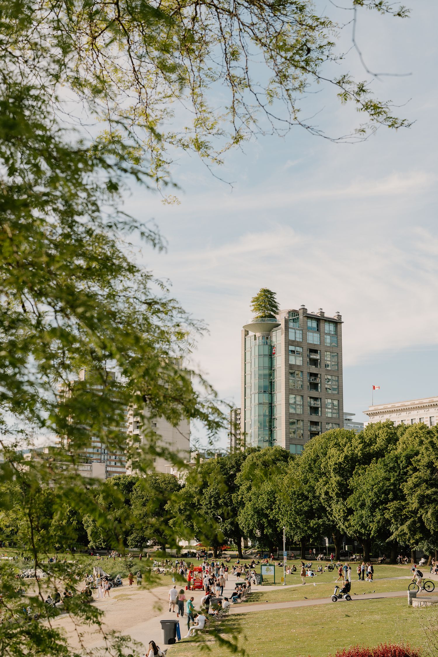 People relax in a sunny urban park with a modern high-rise tower visible against blue sky through tree branches.