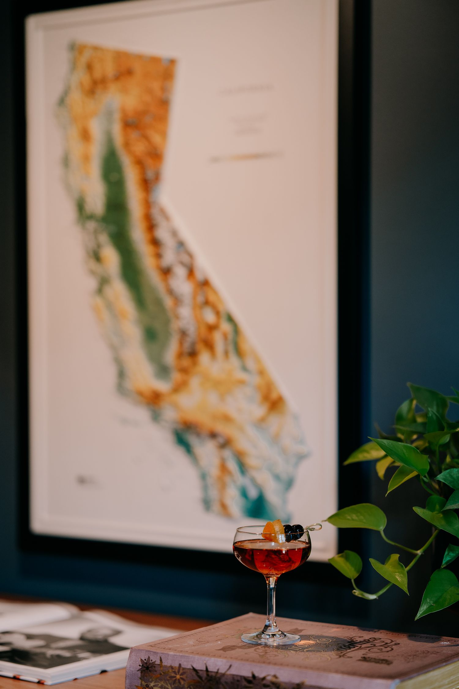A cocktail glass sits on a table beside a framed topographic map of California and a potted plant.