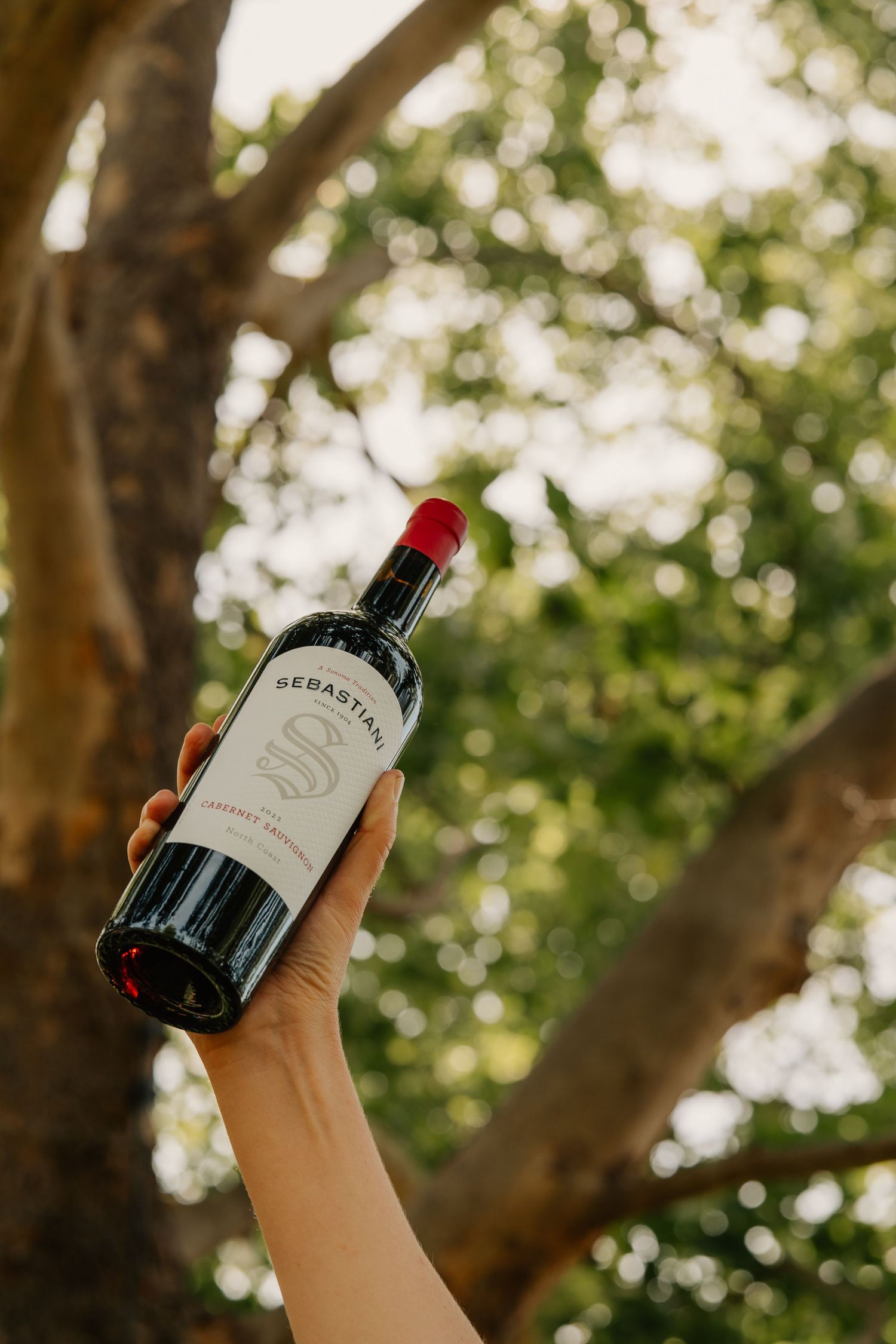 Hand holding a bottle of Sebastian Cabernet Sauvignon red wine outdoors with lush green trees in the background.