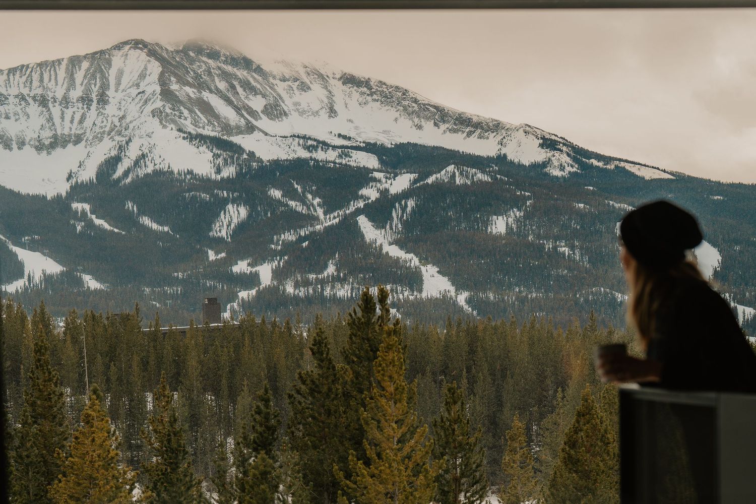 Panoramic view of snow-capped mountains and evergreen forest under a cloudy winter sky.