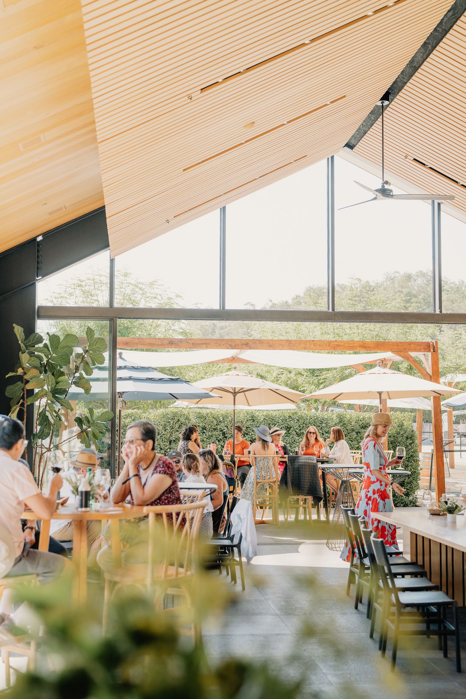 Guests dine inside a modern winery tasting room with wood ceiling and large glass windows.