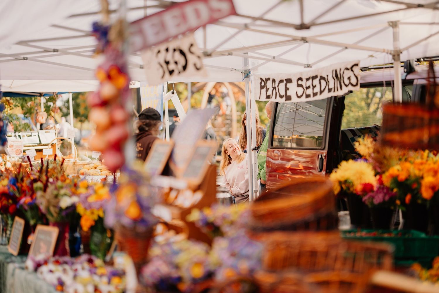Colorful flower display at a farmers market stall with peace seed signs and blurred flowers in foreground.