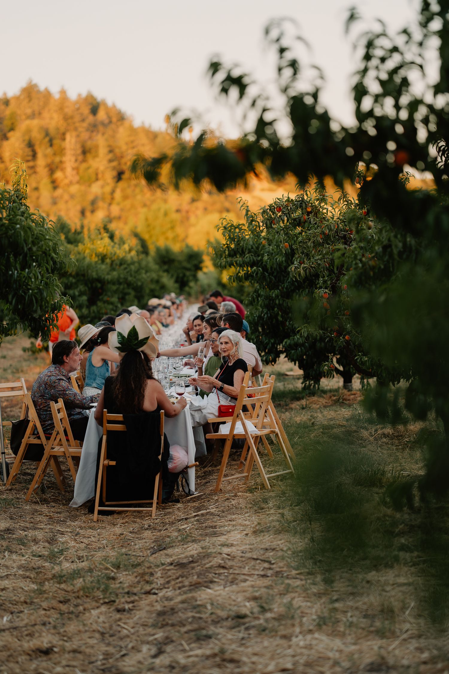 Long table set for an intimate outdoor dinner party in a rustic hillside setting at golden hour.