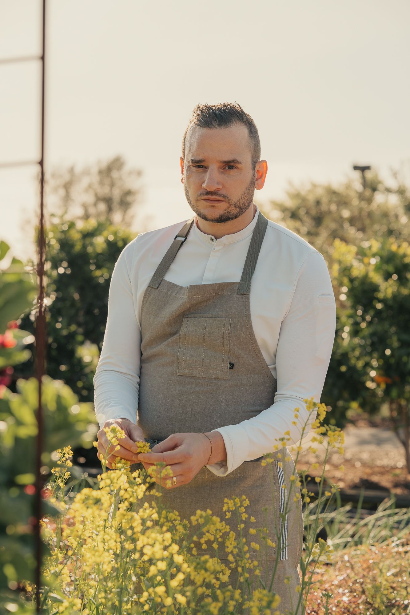 Chef in apron picking yellow flowers in a sunlit garden, surrounded by lush greenery.
