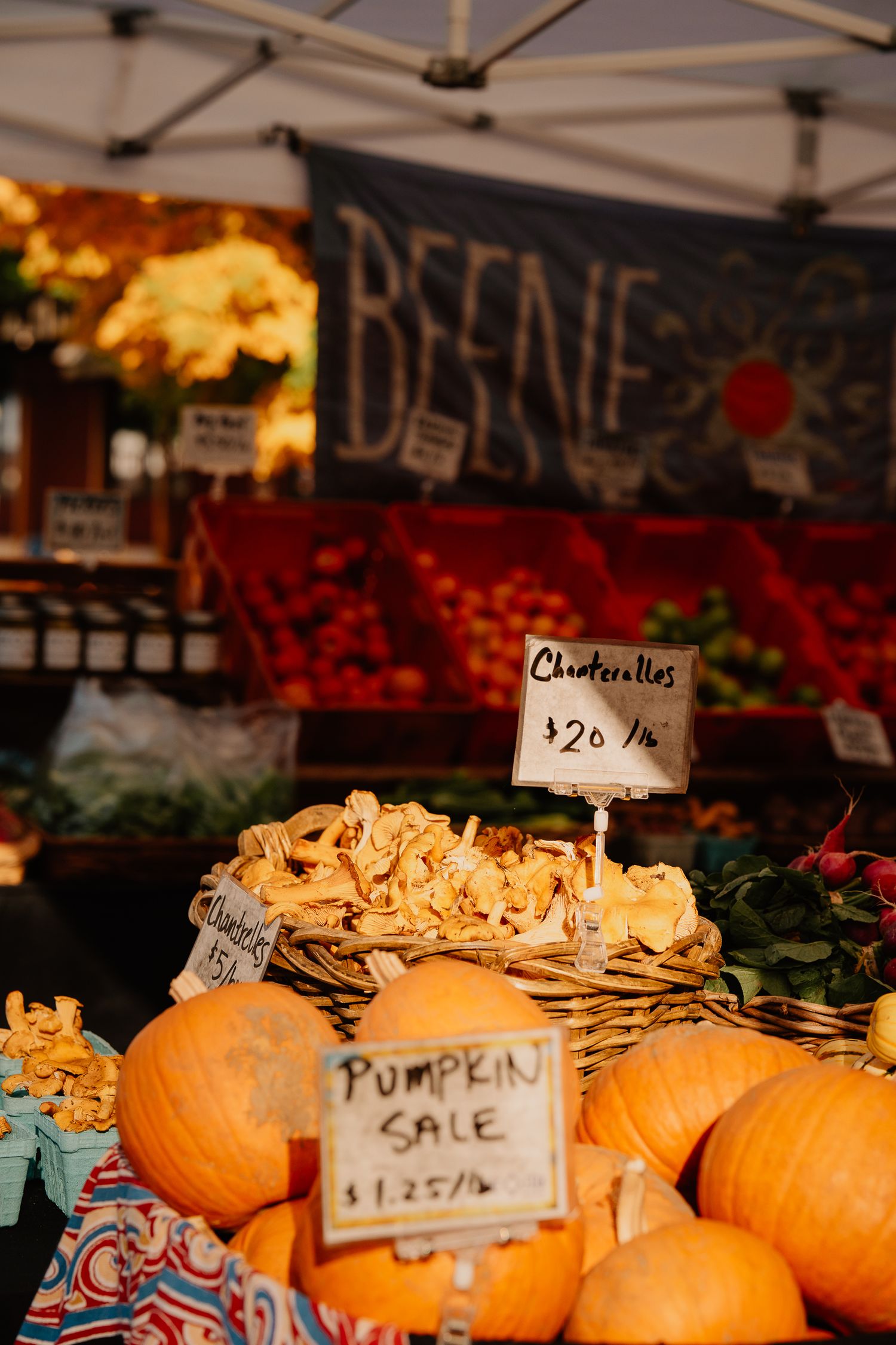 Pumpkins and chanterelles displayed at farmers market stand with rustic signage in evening light.