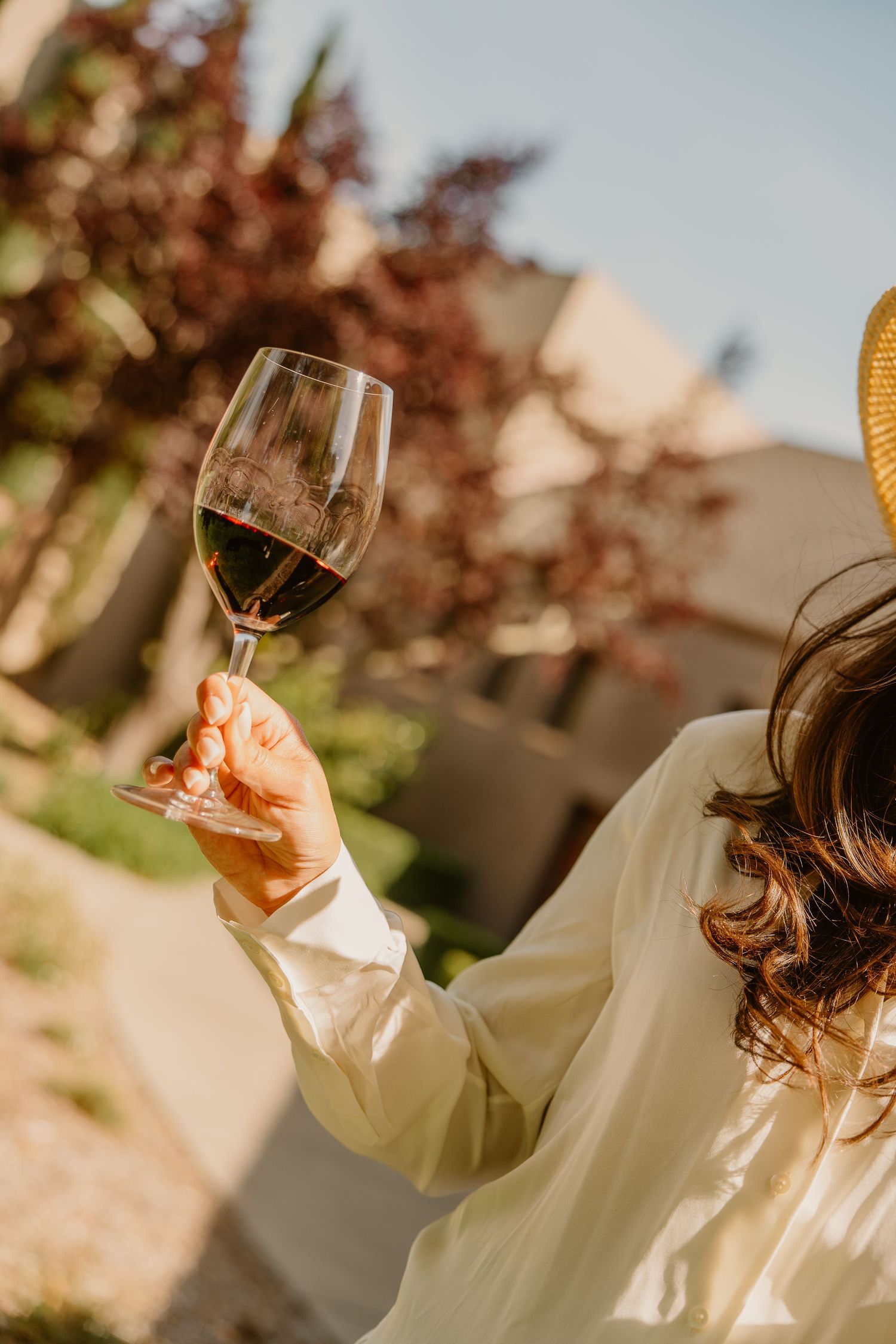 Woman in straw hat holding Sebastiani red wine glass up in sunlight at outdoor vineyard setting.
