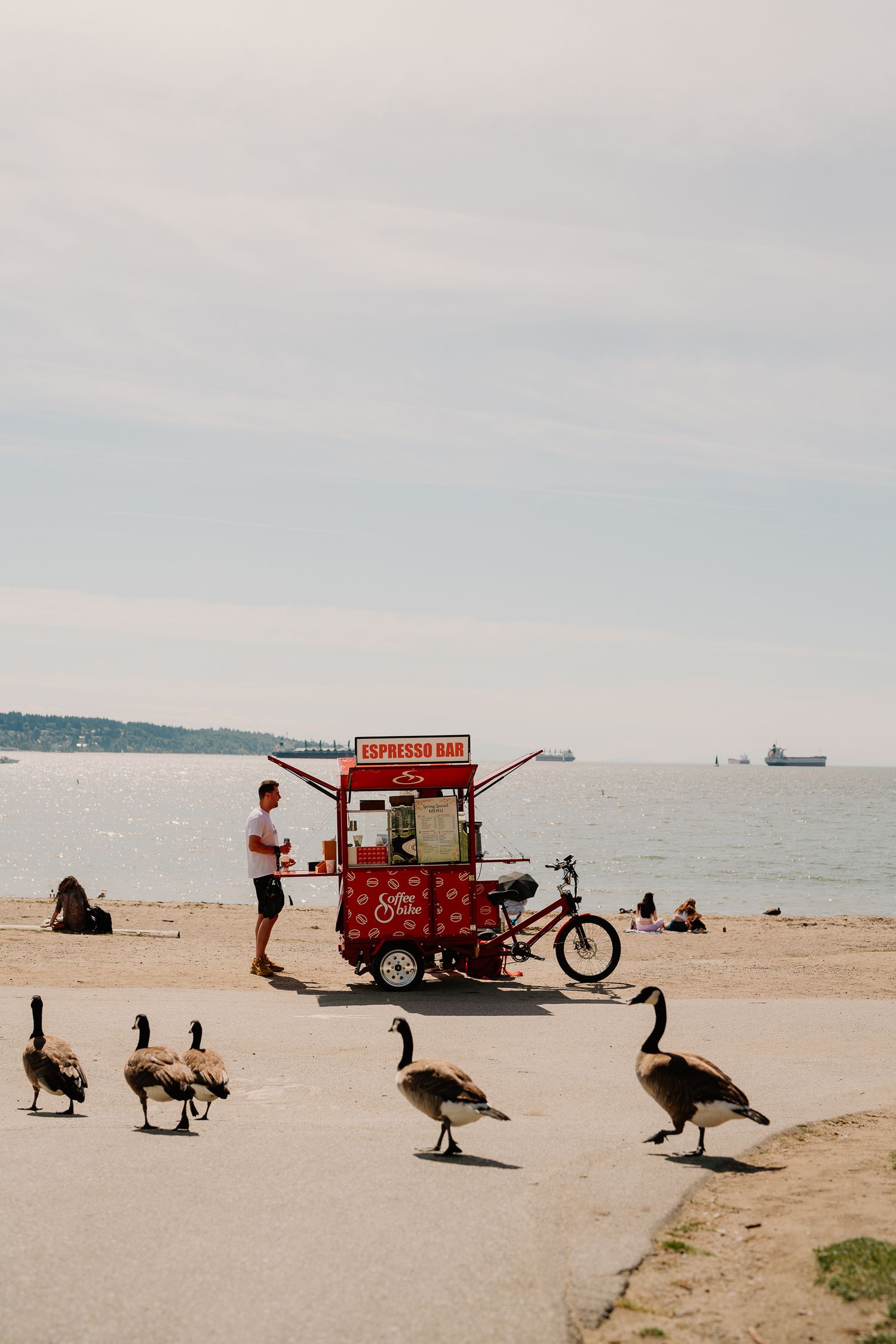A food vendor cart on a beach path with several Canada geese walking by while people relax near the water.